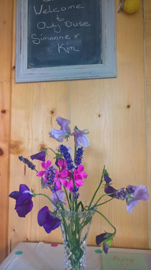Bed and Breakfast Owly 'Ouse Barnstaple Exterior foto