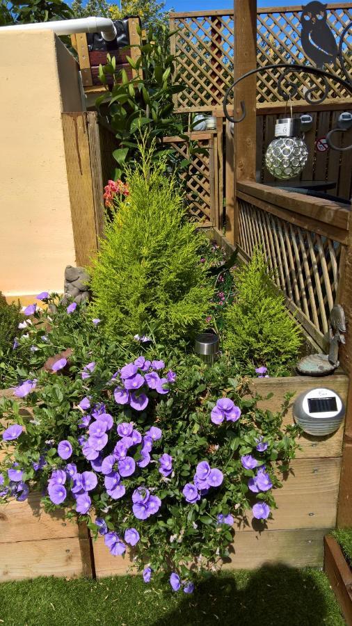 Bed and Breakfast Owly 'Ouse Barnstaple Exterior foto