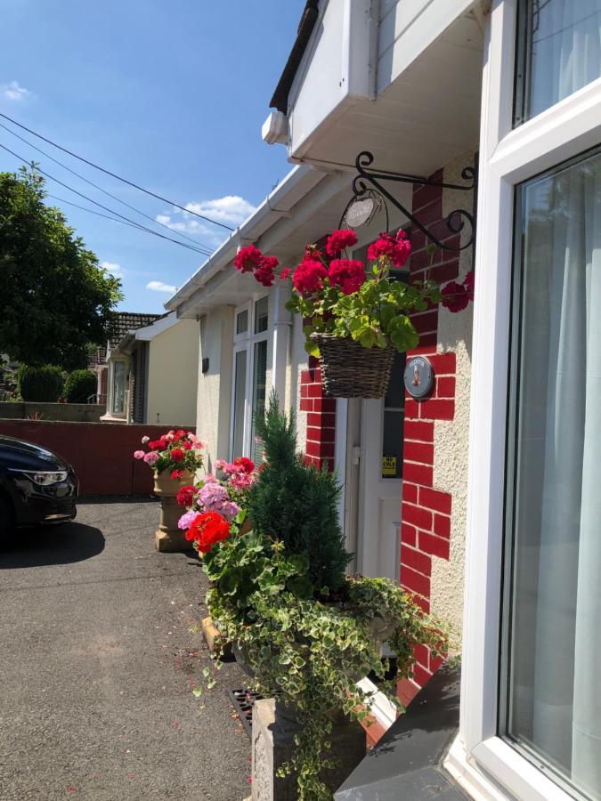 Bed and Breakfast Owly 'Ouse Barnstaple Exterior foto